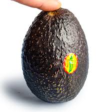 Avocado (36 count)